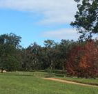 Mulberry Cottage - Events Australia