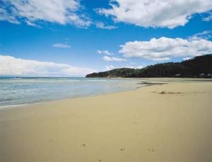 Jervis Bay NSW Events Australia