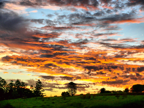 Yarraman Caravan Park & Cabins - Events Australia 5