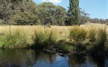 Pinegrove Cottage - Events Australia 3