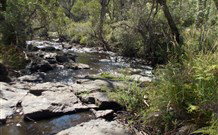 Pinegrove Cottage - Events Australia 4