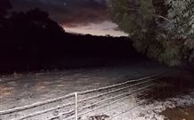 Pinegrove Cottage - Events Australia 7