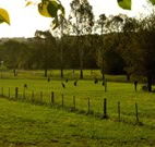 Stone Cottage Mittagong - Tourism Bookings