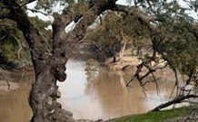 Valley View Cottage Hunter Valley - Events Australia 0