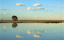 Valley View Cottage Hunter Valley - Events Australia 4