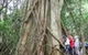 Williams River Holiday Park - thumb 1