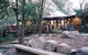 Williams River Holiday Park - thumb 0