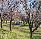 Worrowing Boat Shed - Events Australia
