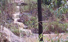 Yester Grange Cottages - Tourism Bookings 2