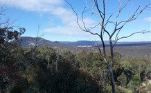 Yester Grange Cottages - Tourism Bookings 4