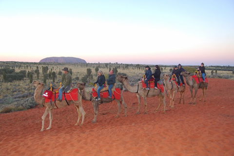 Ayers Rock - Outback Pioneer Lodge - Events Australia 1