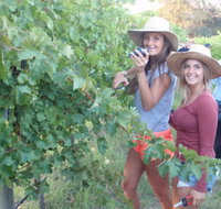 McLaren Vale Backpackers - Accommodation Europe