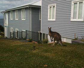 Hyams Beach Bed And Breakfast - Tourism Bookings 6