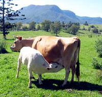 Cedar Glen Farmstay