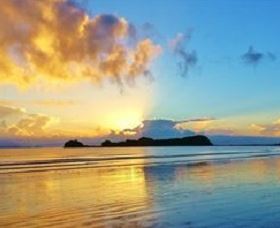 Cape Hillsborough Nature Tourist Park - Tourism Bookings 1