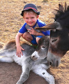 Destiny Boonah ECO Cottages And Donkey Farm - Events Australia 0