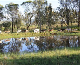 Destiny Boonah ECO Cottages And Donkey Farm - Events Australia 1