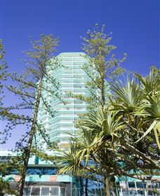 Ocean Plaza Resort - Coolangatta - Tourism Bookings 1