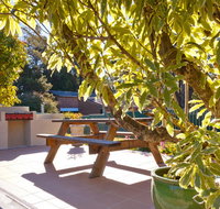 Best Western Alpine Motor Inn - Accommodation Europe