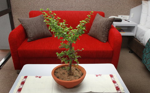 BEST WESTERN Sea Spray Motel - Accommodation Europe 14