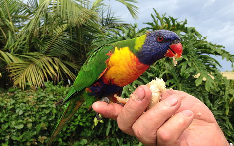 BEST WESTERN Sea Spray Motel - Accommodation Europe 18