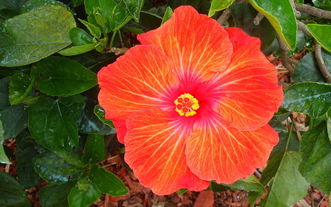 BEST WESTERN Sea Spray Motel - Accommodation Europe 23