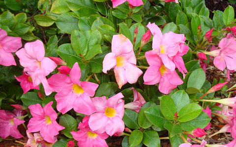 BEST WESTERN Sea Spray Motel - Accommodation Europe 22