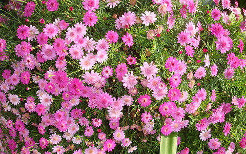 BEST WESTERN Sea Spray Motel - Accommodation Europe 27