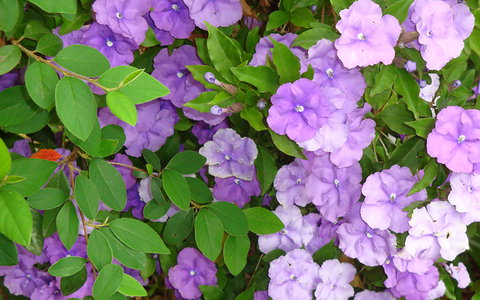 BEST WESTERN Sea Spray Motel - Accommodation Europe 26