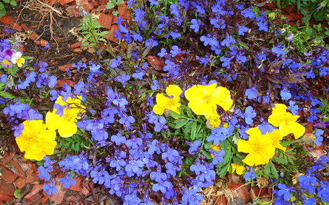 BEST WESTERN Sea Spray Motel - Accommodation Europe 25