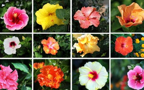 BEST WESTERN Sea Spray Motel - Accommodation Europe 28