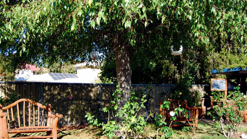 Mudgee NSW Tourism Bookings