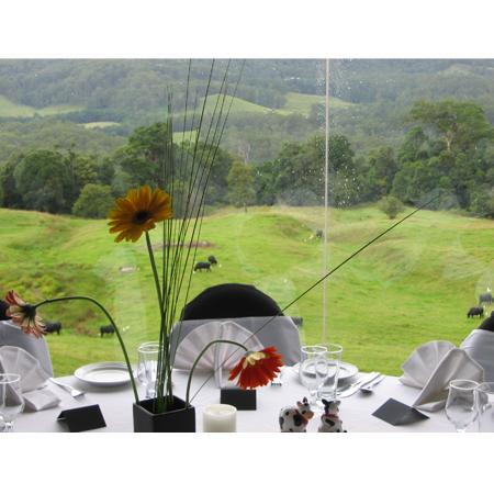 Tranquil Park Mountain Resort - Tourism Bookings 1