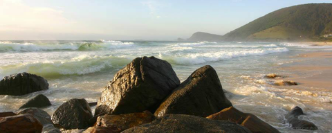 Pacific Palms Signature Properties - Events Australia 13