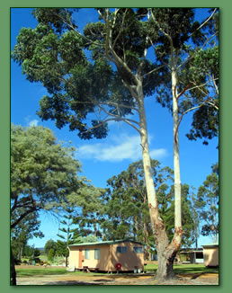 Kalgan River Chalets And Caravan Park - Events Australia 0