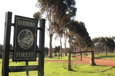 Harmony Forest - Tourism Bookings 0