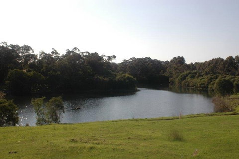 Harmony Forest - Tourism Bookings 1