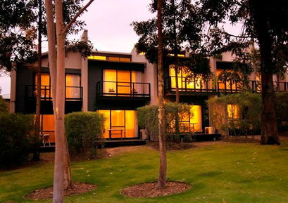 Margarets Forest - Events Australia 3