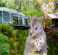 Huon Bush Retreats - Events Australia