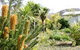 Yooringa Garden Cottage - thumb 0