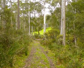 Huon Valley Eco Wilderness Retreat - Tourism Bookings 5