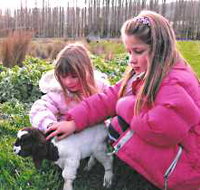 Huon Valley Caravan Park - Events Australia