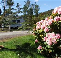 Zeehan Bush Camp  and Caravan Park - Events Australia