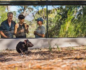 Saffire Freycinet - Events Australia 5