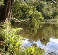 Weldborough Camping Ground - Tourism Bookings