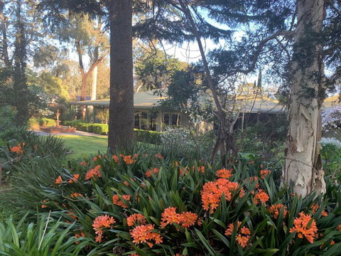 Treetops Bed And Breakfast - Events Australia 6