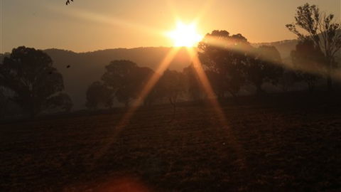 Gentle Annie Caravan And Camping Reserve - Events Australia 1