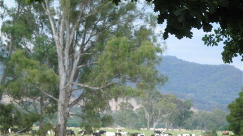 Gentle Annie Caravan And Camping Reserve - Events Australia 3