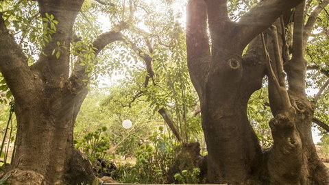 Trawool Cottages & Farmstay - Events Australia 5