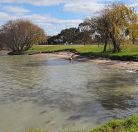 Kangaroo Lake Caravan Park - Events Australia